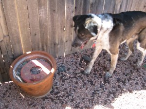 I'm not posing on top for a picture.