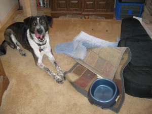 Bongo's Mess Bongo's Mess