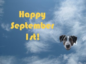 Happy September 1st
