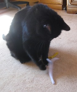 Chenille Scratchy and his toy