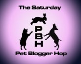 pet-blogger-hop-pink-copy