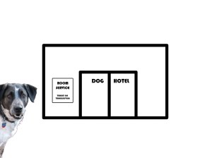 Bongo and the Dog Hotel