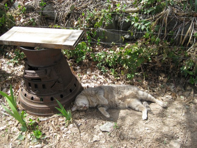 Jerome Resident Jerome Resident