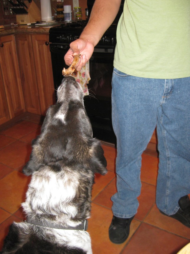 Rib Bone Bongo gets a rib bone