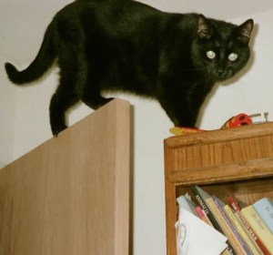 Scratchy on the Door