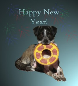 Happy New Year from Bongo