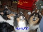 Collie Choice Award