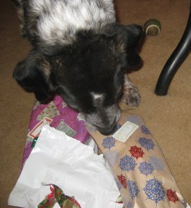 Bongo Unwrapping Presents