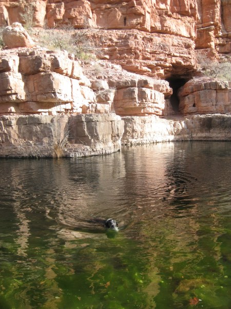Swimming Hole