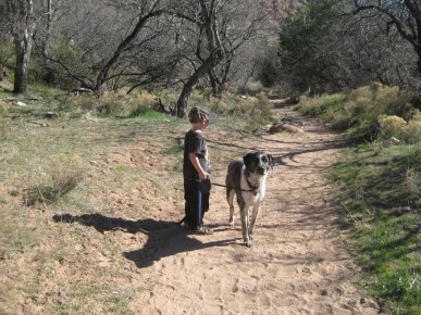 Little Friend and Bongo on the Trail