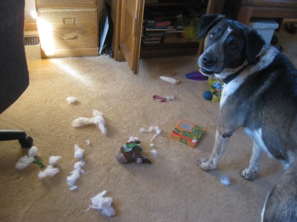 Bongo's Torn up Reindeer