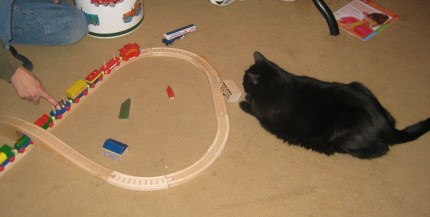 Scratchy Watching the Train