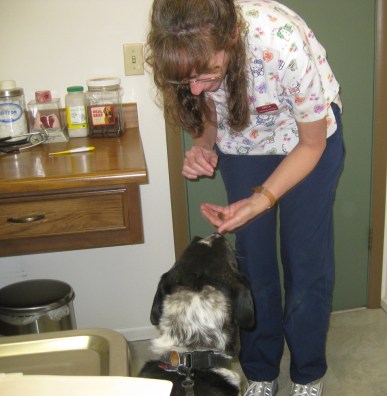 Treats at the Vet