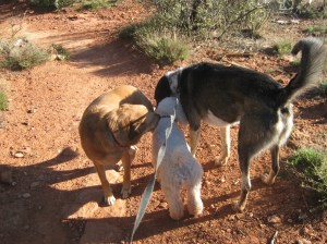 Bongo and his Friends