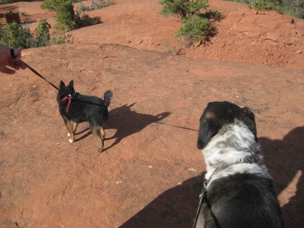 Pablo and Bongo on the Trail