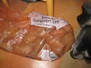 Bongo sniffing a sack of potatoes