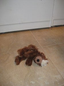 Toy bear in front of the washing machine