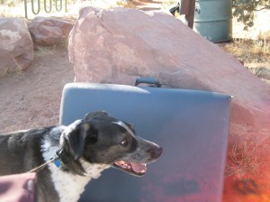 Bongo in front of pad with handles