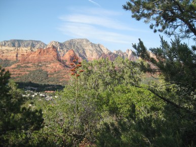 Century Plant and Red Rocks