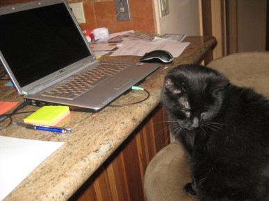 Scratchy getting ready to leave the computer