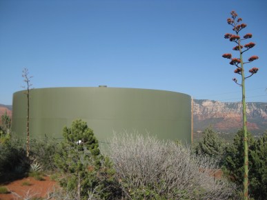 Water Tank and Century Plant