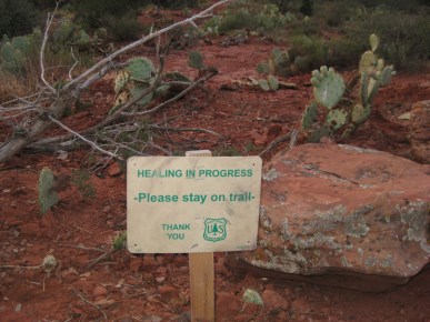 Healing in Process Sign