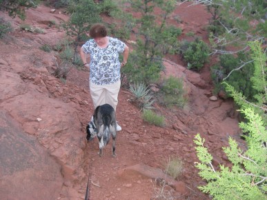 Smells Are Here Bongo smelling something while friend waits