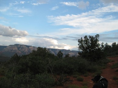 Cloud Buildups on the horizon and Bongo