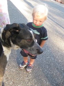 Bongo and the Little Person