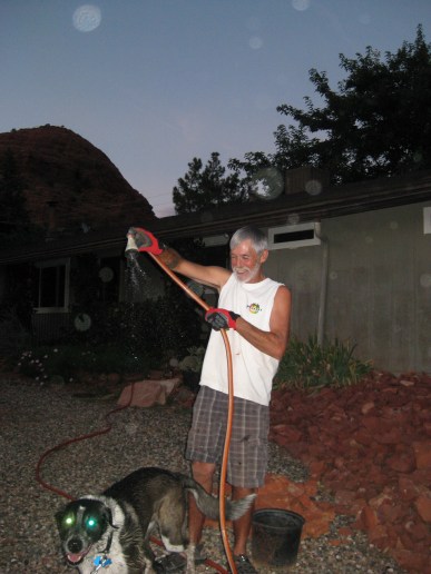 Bongo's eyes glowing