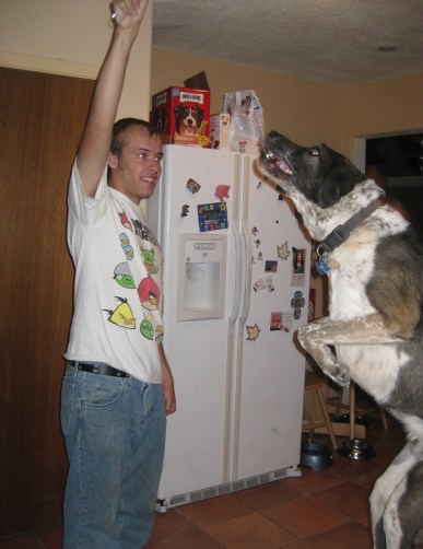 Up There Bongo in the air