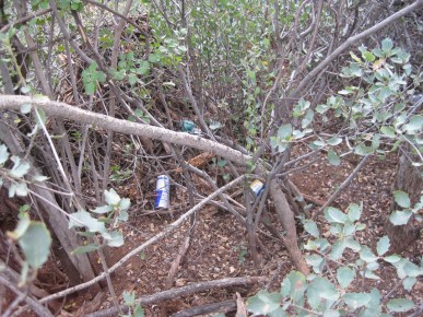 Trash in the Bushes