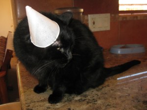 Scratchy wearing a cone hat