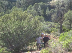 Artists in the Woods