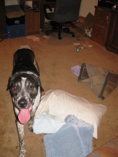 Bongo with stuff in the middle of the floor