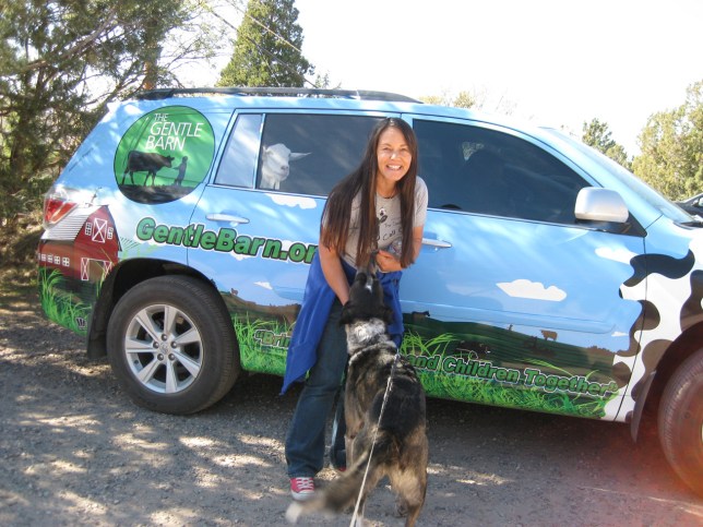 Bongo getting loves in front of the Gentle Barn van