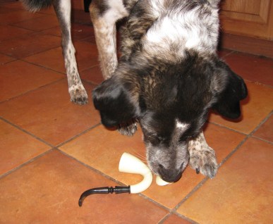 Just Need This Part Bongo with the end of the pipe off