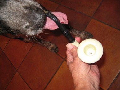 Pipe in Mouth Pipe being handed to Bongo