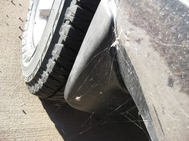 Spider webs attached to the 4Runner and ground