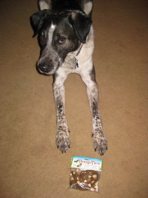 Bongo with a package of Bongo Ties