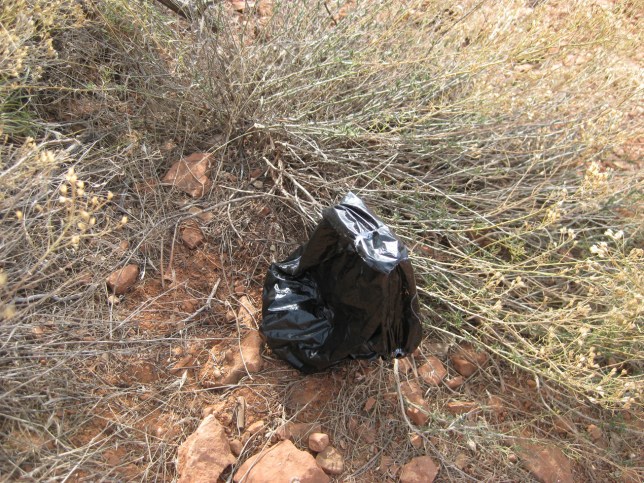 Little black bag in the bushes