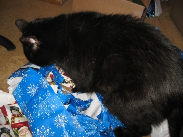 Scratchy on a pile of used wrapping paper