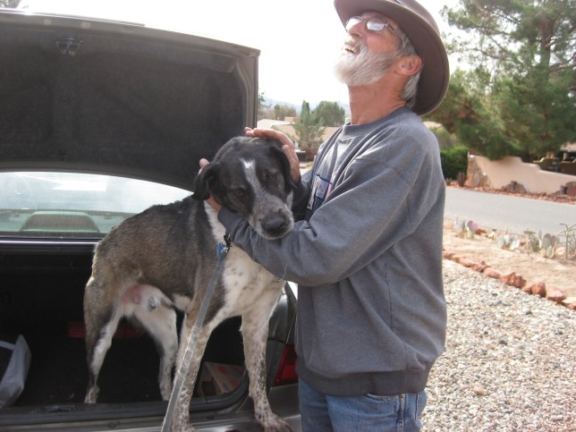 Bongo getting loves while standing in the trunk of a car