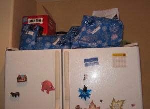 Bongo's presents on top of the fridge