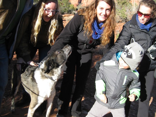 Bongo, the boy, and his friends