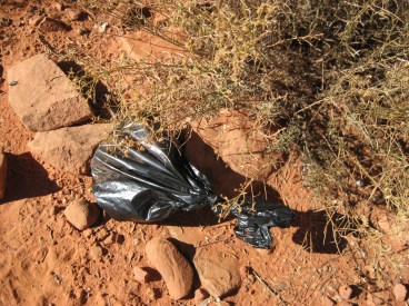 Little black bag on the side of the trail