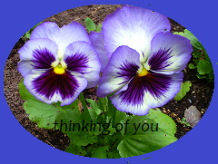 Thinking of You Award