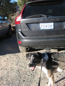 Bongo smiling in front of the "Film Car"