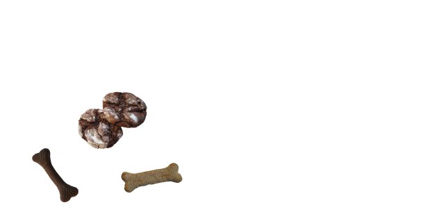 Chocolate Cookies and Dog Treats