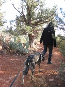 Bongo following behind his younger person